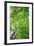 Green on Air-Philippe Sainte-Laudy-Framed Photographic Print