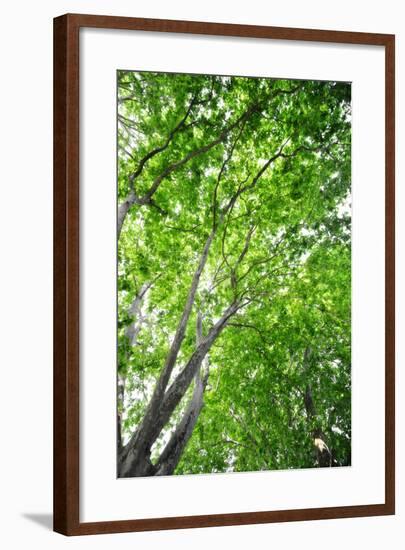 Green on Air-Philippe Sainte-Laudy-Framed Photographic Print