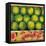 Green Oranges and Peaches, 1999-Pedro Diego Alvarado-Framed Premier Image Canvas