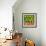 Green Oranges and Peaches, 1999-Pedro Diego Alvarado-Framed Giclee Print displayed on a wall