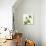 Green Orchid-Micha Pawlitzki-Photographic Print displayed on a wall