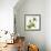 Green Orchid-Micha Pawlitzki-Framed Photographic Print displayed on a wall