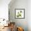 Green Orchid-Micha Pawlitzki-Framed Photographic Print displayed on a wall