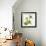 Green Orchid-Micha Pawlitzki-Framed Photographic Print displayed on a wall