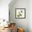 Green Orchid-Micha Pawlitzki-Framed Photographic Print displayed on a wall