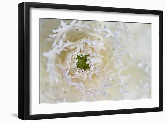 Green Ornamental I-Dana Styber-Framed Photographic Print