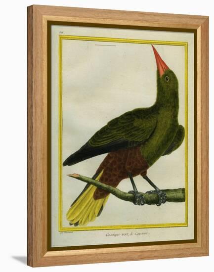 Green Oropendola-Georges-Louis Buffon-Framed Premier Image Canvas