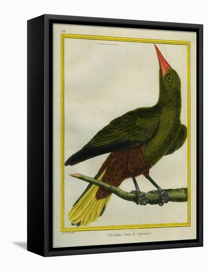 Green Oropendola-Georges-Louis Buffon-Framed Premier Image Canvas