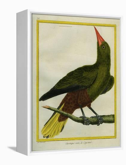 Green Oropendola-Georges-Louis Buffon-Framed Premier Image Canvas