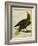 Green Oropendola-Georges-Louis Buffon-Framed Giclee Print