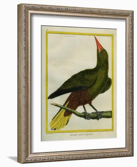 Green Oropendola-Georges-Louis Buffon-Framed Giclee Print