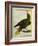 Green Oropendola-Georges-Louis Buffon-Framed Giclee Print