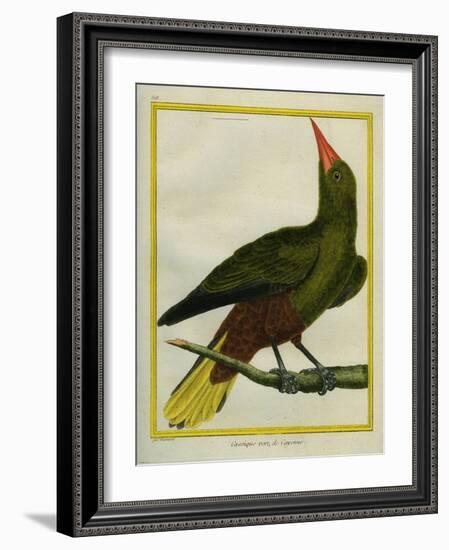 Green Oropendola-Georges-Louis Buffon-Framed Giclee Print