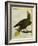 Green Oropendola-Georges-Louis Buffon-Framed Giclee Print