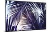 Green Palm Leaf over Sky Background. Beautiful Palm Leaf Photo with Moody Effect Tone. Palm Leaves-Davdeka-Mounted Photographic Print