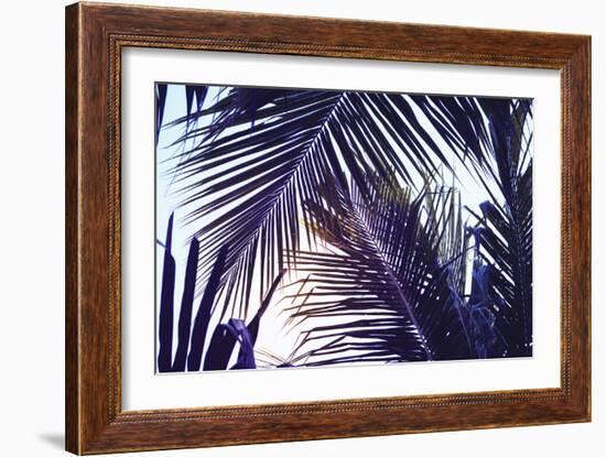 Green Palm Leaf over Sky Background. Beautiful Palm Leaf Photo with Moody Effect Tone. Palm Leaves-Davdeka-Framed Photographic Print