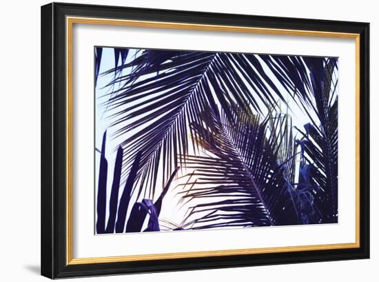 Green Palm Leaf over Sky Background. Beautiful Palm Leaf Photo with Moody Effect Tone. Palm Leaves-Davdeka-Framed Photographic Print