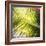 Green Palm Leaves, Jambiani, Zanzibar, Tanzania, East Africa-Lee Frost-Framed Photographic Print