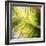 Green Palm Leaves, Jambiani, Zanzibar, Tanzania, East Africa-Lee Frost-Framed Photographic Print