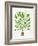 Green Palm Tree-Cat Coquillette-Framed Giclee Print