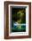 Green Paradise-Philippe Sainte-Laudy-Framed Photographic Print