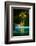 Green Paradise-Philippe Sainte-Laudy-Framed Photographic Print