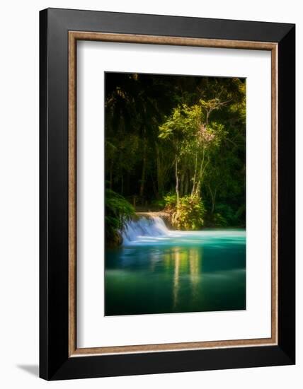 Green Paradise-Philippe Sainte-Laudy-Framed Photographic Print