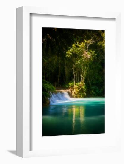 Green Paradise-Philippe Sainte-Laudy-Framed Photographic Print