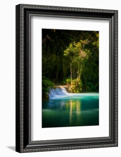 Green Paradise-Philippe Sainte-Laudy-Framed Photographic Print