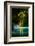 Green Paradise-Philippe Sainte-Laudy-Framed Photographic Print