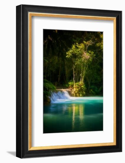 Green Paradise-Philippe Sainte-Laudy-Framed Photographic Print