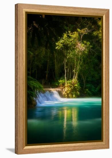 Green Paradise-Philippe Sainte-Laudy-Framed Premier Image Canvas