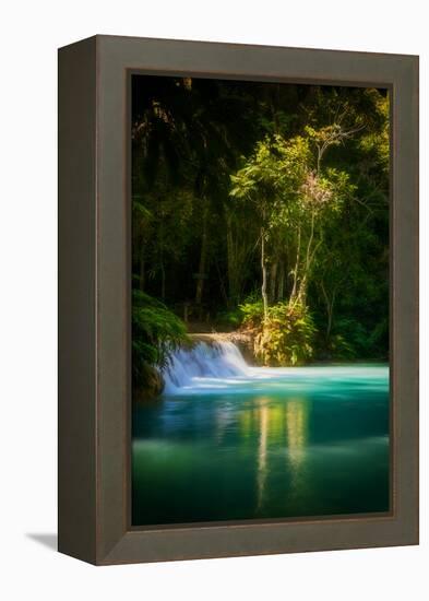 Green Paradise-Philippe Sainte-Laudy-Framed Premier Image Canvas