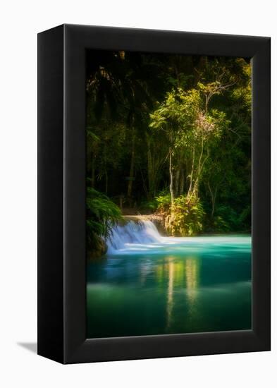 Green Paradise-Philippe Sainte-Laudy-Framed Premier Image Canvas