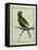 Green Parakeet-Georges-Louis Buffon-Framed Premier Image Canvas