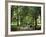 Green Park, London, England, United Kingdom-Ethel Davies-Framed Photographic Print