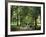 Green Park, London, England, United Kingdom-Ethel Davies-Framed Photographic Print