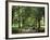 Green Park, London, England, United Kingdom-Ethel Davies-Framed Photographic Print