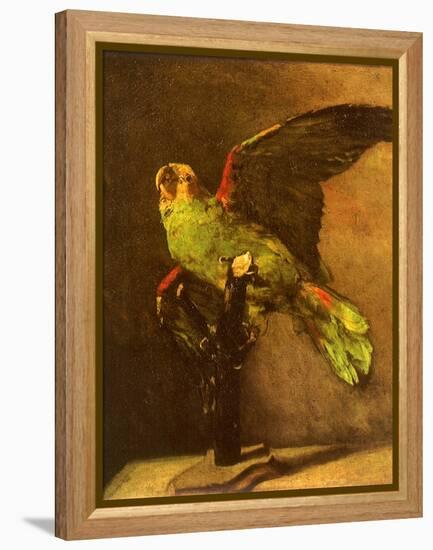 Green Parrot on Perch, 1886-Vincent van Gogh-Framed Premier Image Canvas