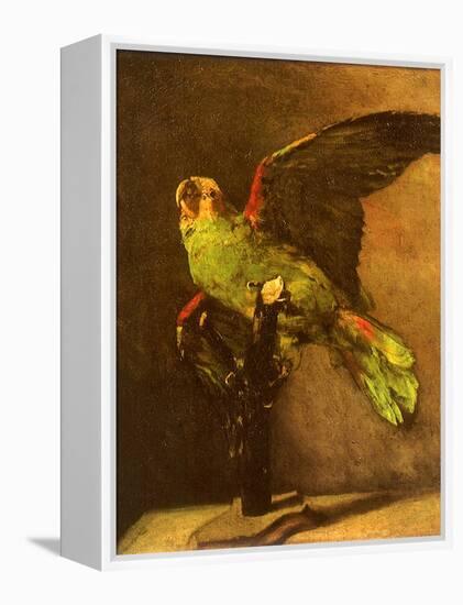 Green Parrot on Perch, 1886-Vincent van Gogh-Framed Premier Image Canvas