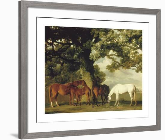 Green Pastures (A Family Group) - Detail-George Stubbs-Framed Premium Giclee Print