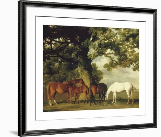 Green Pastures (A Family Group) - Detail-George Stubbs-Framed Premium Giclee Print