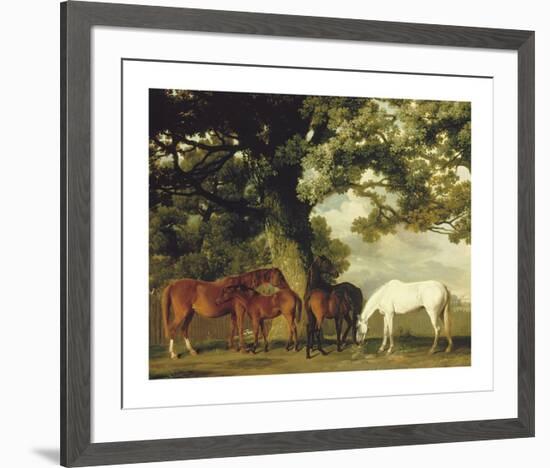 Green Pastures (A Family Group) - Detail-George Stubbs-Framed Premium Giclee Print