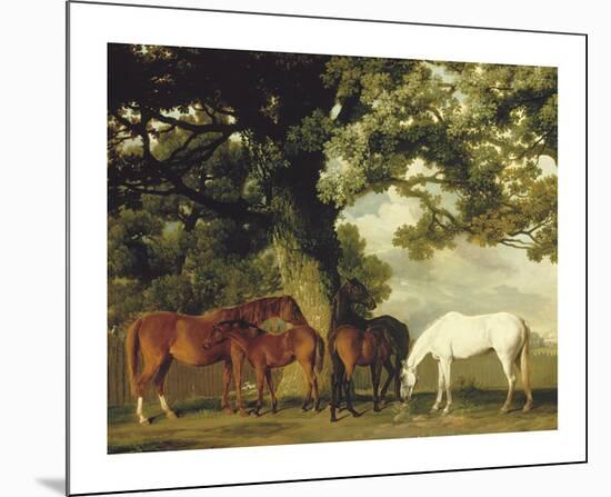 Green Pastures (A Family Group) - Detail-George Stubbs-Mounted Premium Giclee Print
