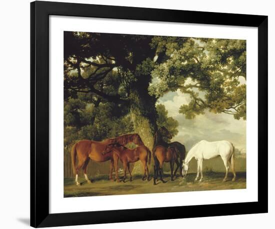 Green Pastures (A Family Group) - Detail-George Stubbs-Framed Premium Giclee Print