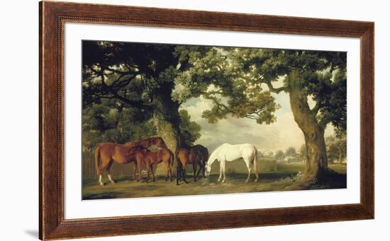 Green Pastures (A Family Group)-George Stubbs-Framed Premium Giclee Print