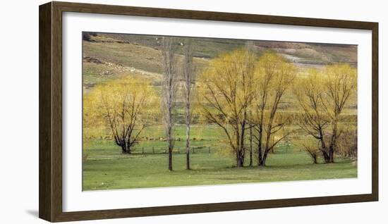 Green pastures with trees, Morocco-Art Wolfe-Framed Photographic Print