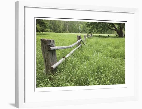 Green Pastures-Donald Paulson-Framed Giclee Print