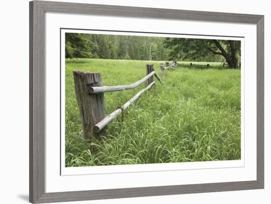 Green Pastures-Donald Paulson-Framed Giclee Print