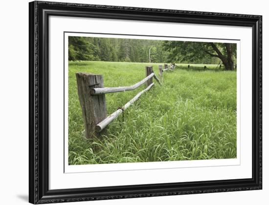 Green Pastures-Donald Paulson-Framed Giclee Print